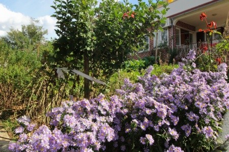 Apartmány 197-127 - 3