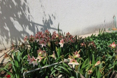 Apartmány 197-127 - 6