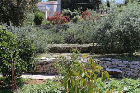 Apartmány 3298-801 - 37