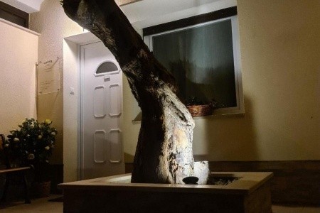 Apartmány 1355-6573 - 13