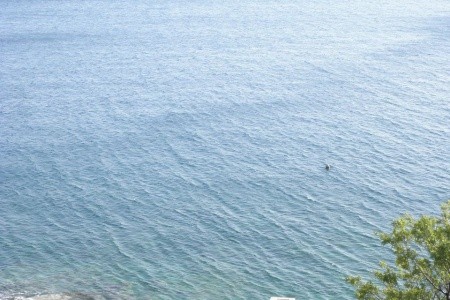 Apartmány 1355-5884 - 4