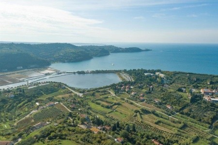 Svoboda (Terme Krka) - 5