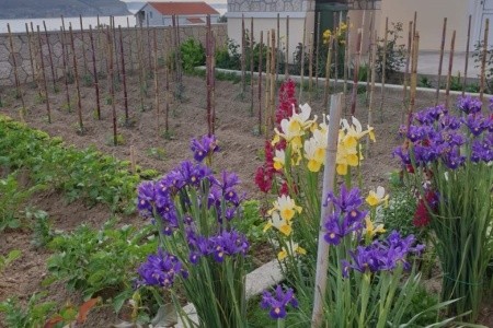 Apartmány 1355-6074 - 8