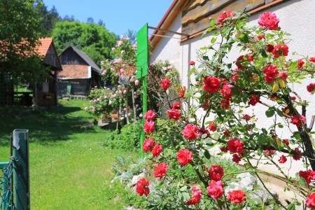 Apartmány 3298-3377 - 37