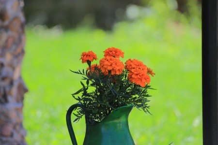 Apartmány 3298-3377 - 35