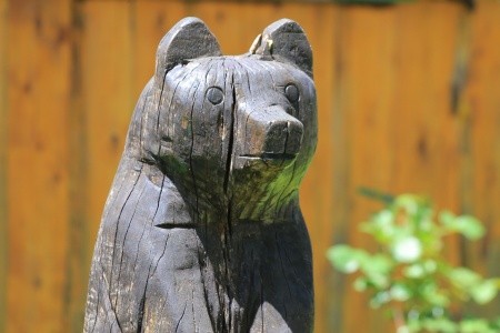 Apartmány 3298-3377 - 46