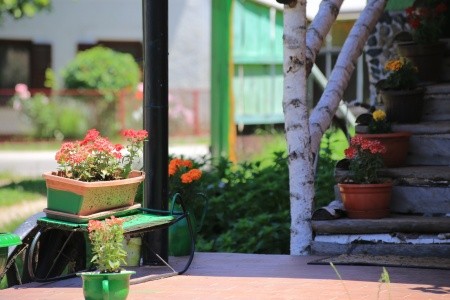 Apartmány 3298-3377 - 64