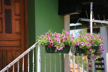 Apartmány 3298-3377 - 57