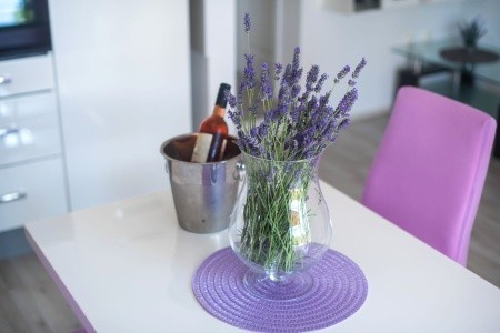 Apartmány 1355-4419 - 21