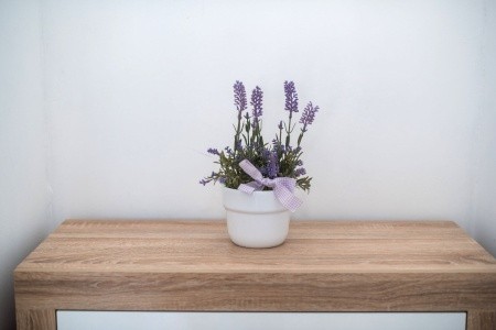 Apartmány 1355-4419 - 27