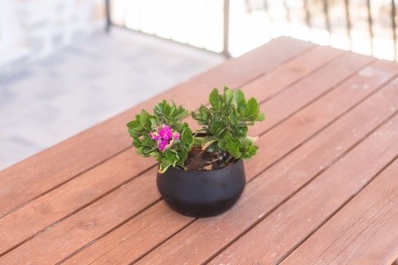 Apartmány 1355-4419 - 31