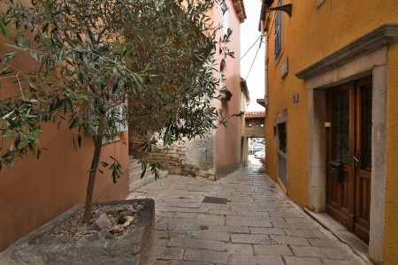 Apartmány 1355-5298 - 6