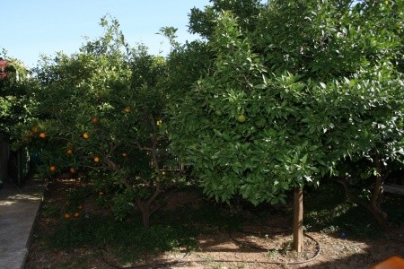 Apartmány 3298-555 - 47