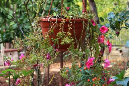 Apartmány 3298-1035 - 12