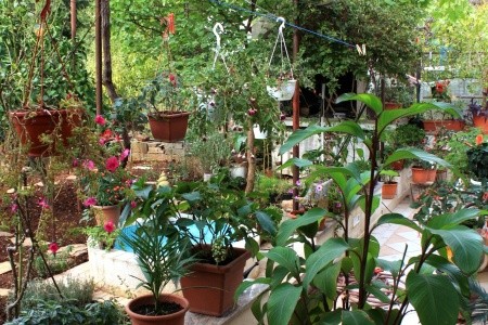 Apartmány 3298-1035 - 13