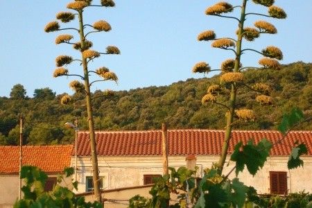 Apartmány 3298-115 - 10