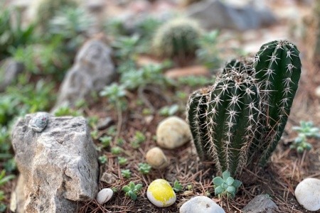 Apartmány 3298-232 - 46