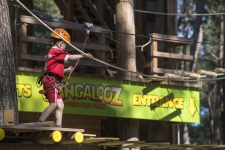 Chorvátsko Istria Camping Bi Village 8 dňový pobyt Bez stravy Vlastná May 2026 ( 2/05/26- 9/05/26)