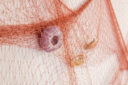 Apartmány 1355-4460 - 40