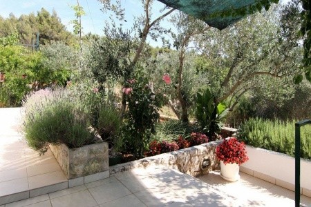 Apartmány 1355-5619 - 4