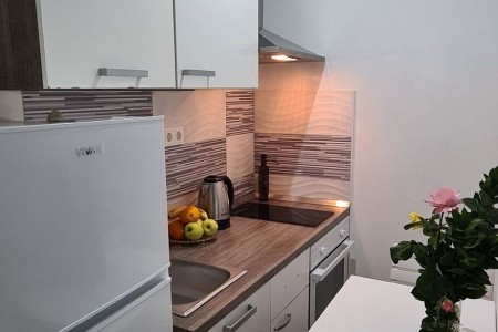 Apartmány 1355-4929 - 85