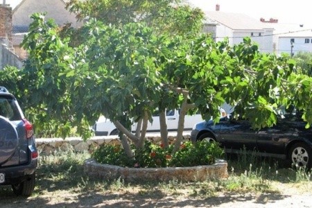 Apartmány 1355-5578 - 11