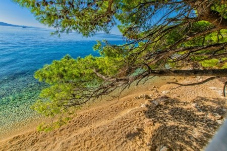 Apartmány 1355-5087 - 16