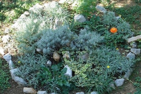 Apartmány 1355-5511 - 3