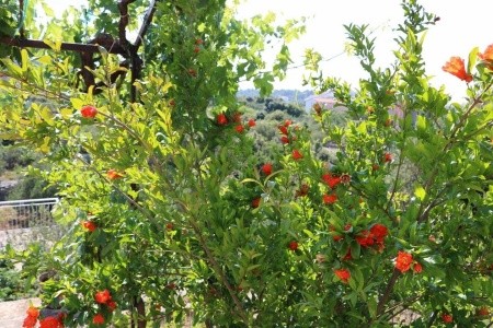 Apartmány 1355-5469 - 11