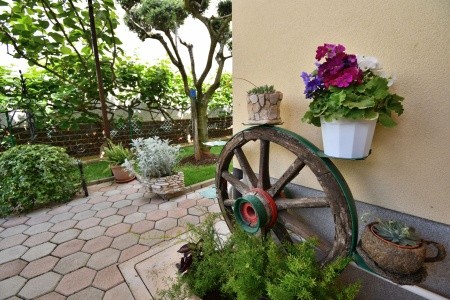 Apartmány 1355-5264 - 2