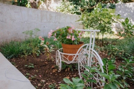 Apartmány 1355-5729 - 8