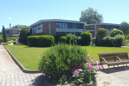 Green Park Resort - 4