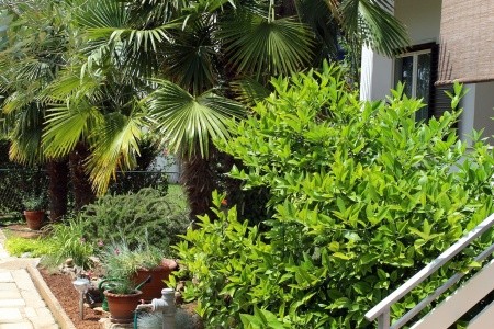 Apartmány 3298-5105 - 9