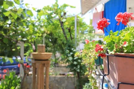 Apartmány 3298-4724 - 15