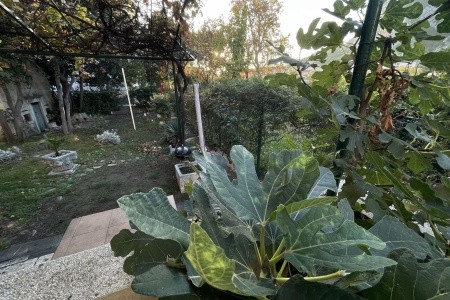 Apartmány 1355-4174 - 71