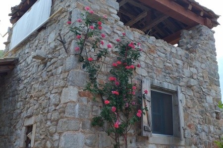 Kamenný Dům 1355-3903 - 5