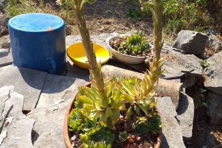 Kamenný Dům 1355-3903 - 18