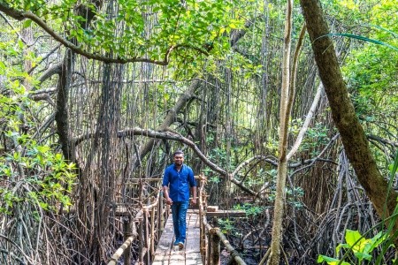 Srí Lanka Negombo Ranweli Holiday Resort 12 dňový pobyt All Inclusive Letecky Letisko: Praha October 2025 (21/10/25- 1/11/25)