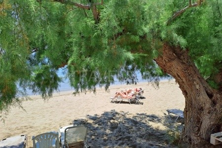 Apartmány Creta Sun - 7