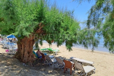 Apartmány Creta Sun - 20