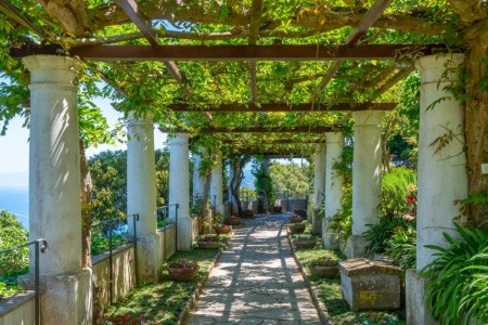 Literatúra Nápoly - 9