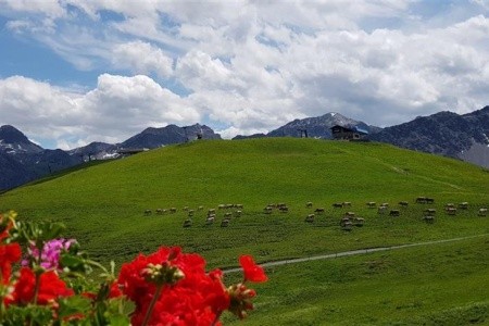 Švýcarsko letecky s panoramatickými vlaky - 22