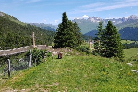 Švýcarsko letecky s panoramatickými vlaky - 25