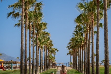 Delfina Tropic Beach - 34