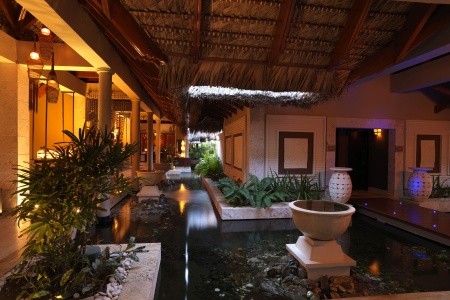 Paradisus Palma Real Golf & Spa Resort - 81