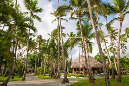 Impressive Premium Resort - 5