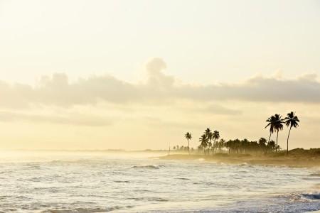 Royalton Chic Punta Cana, An Autograph Collection - 40