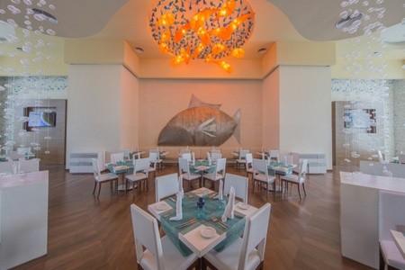 Dominikánska republika Punta Cana Royalton Splash Punta Cana 11 dňový pobyt All Inclusive Letecky Letisko: Viedeň May 2026 (28/05/26- 7/06/26)