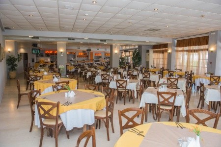 Alexander The Great - 41