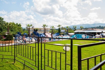 Alexander The Great - 43